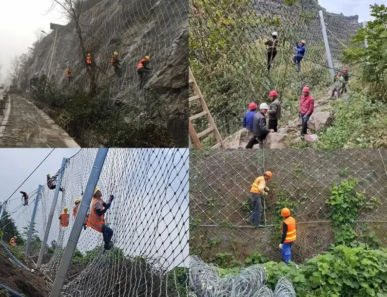 why choose Chengshuai
